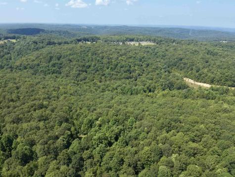 0 Blue Ridge Road Belington WV 26405