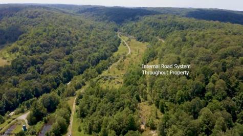 0 Blue Ridge Road Belington WV 26405