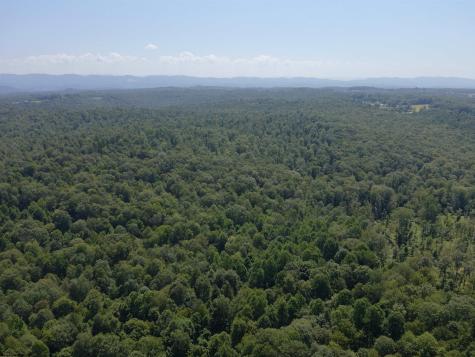 0 Blue Ridge Road Belington WV 26405