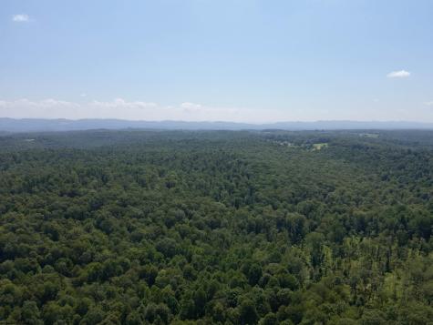 0 Blue Ridge Road Belington WV 26405