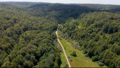 0 Blue Ridge Road Belington WV 26405