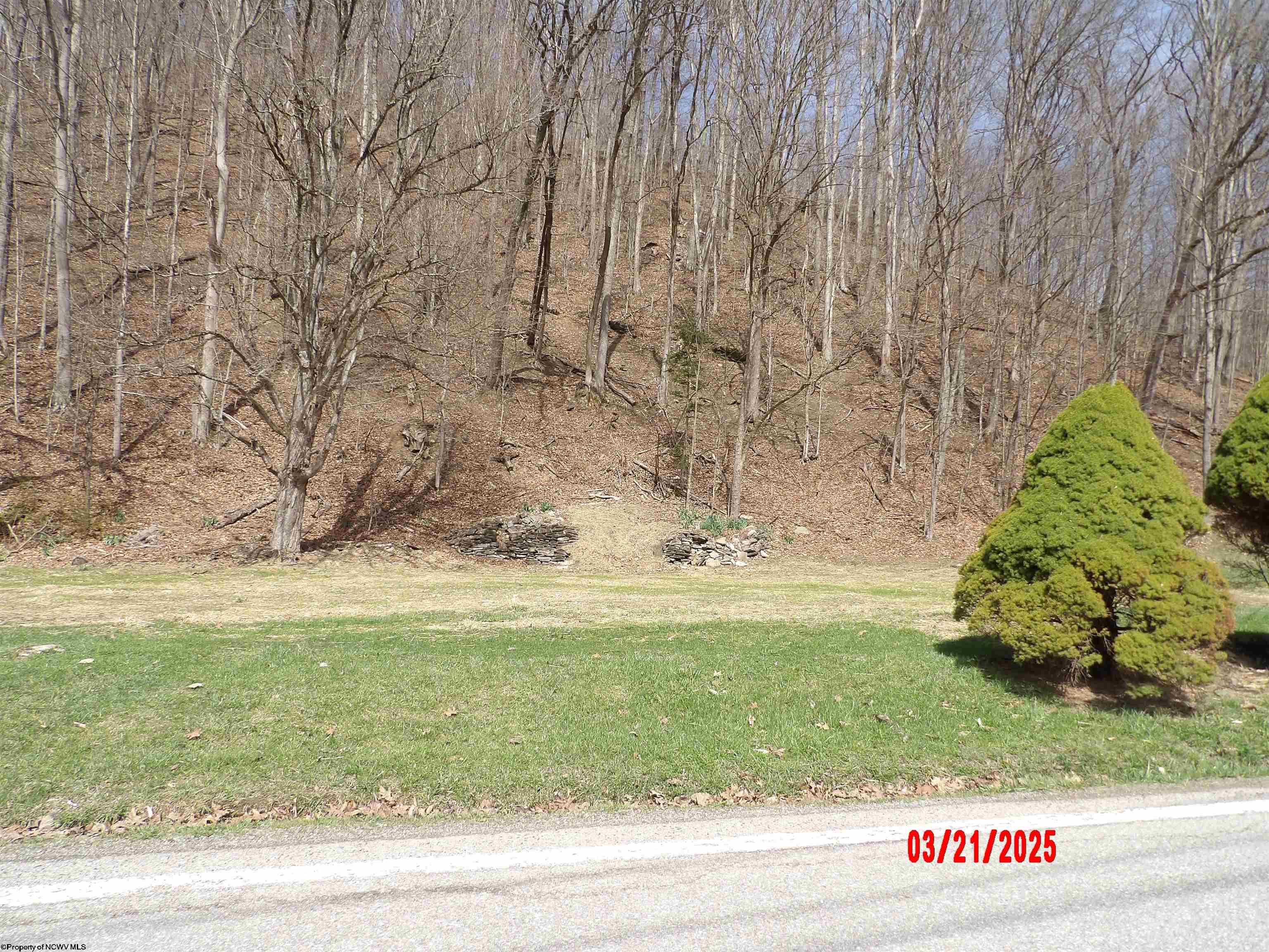 2511 Chenoweth Creek Road Elkins WV 26241