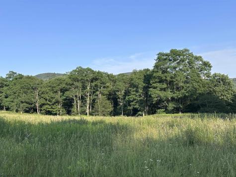 Lot 1003 Sunset Mountain Village Slaty Fork WV 26291