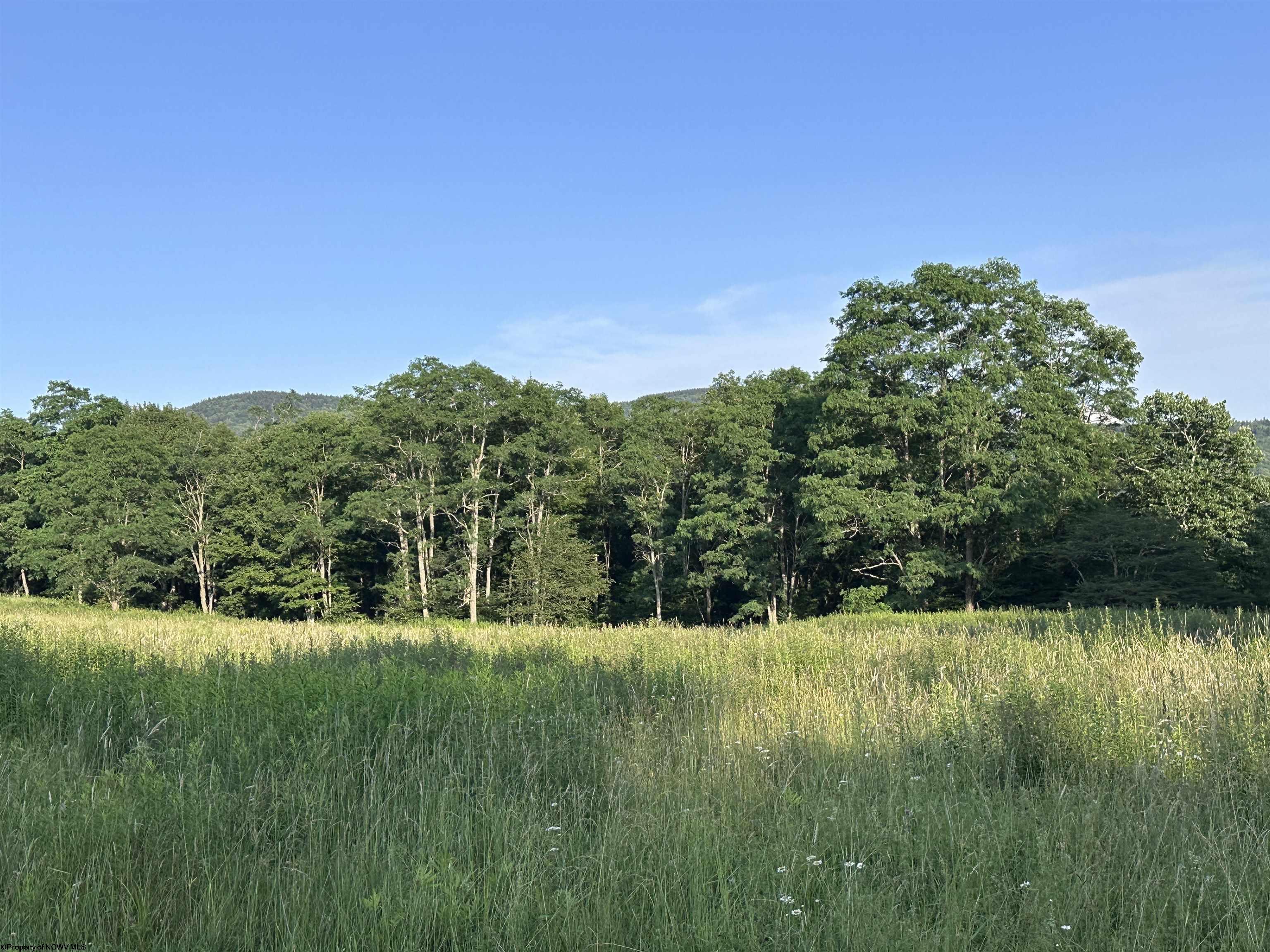 1003 Sunset Mountain Village Slaty Fork WV 26291
