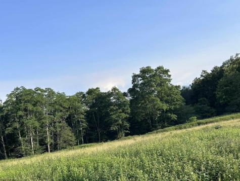 1003 Sunset Mountain Village Slaty Fork WV 26291
