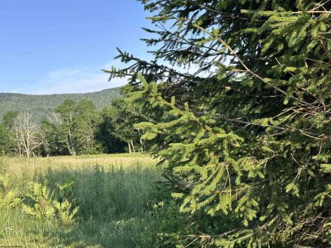 1003 Sunset Mountain Village Slaty Fork WV 26291