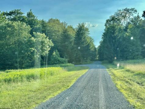 Lot 1003 Sunset Mountain Village Slaty Fork WV 26291