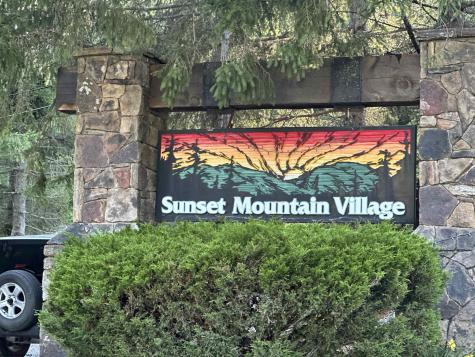 1003 Sunset Mountain Village Slaty Fork WV 26291