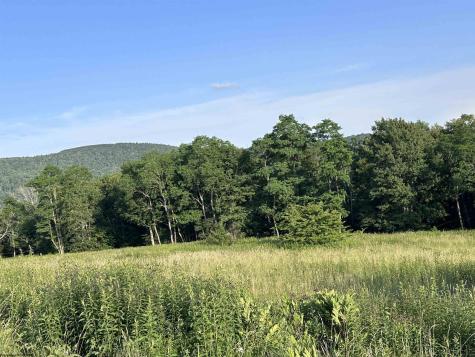 1003 Sunset Mountain Village Slaty Fork WV 26291