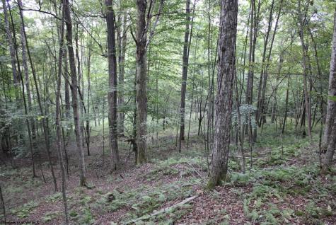 0 Curry Road French Creek WV 26218