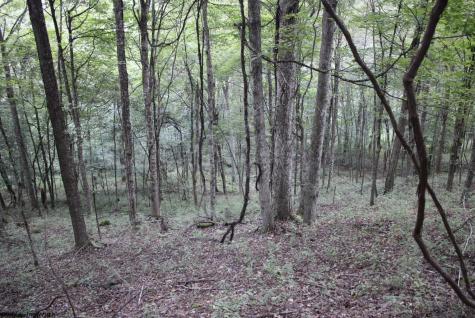 0 Curry Road French Creek WV 26218