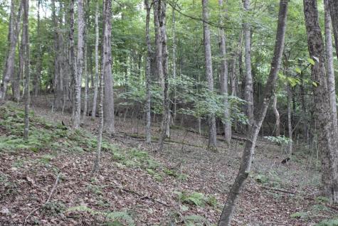 0 Curry Road French Creek WV 26218