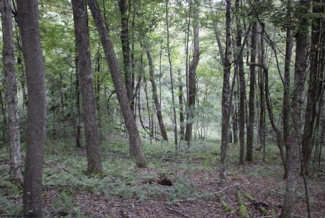 0 Curry Road French Creek WV 26218