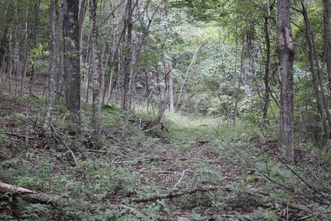 0 Curry Road French Creek WV 26218