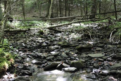 0 Curry Road French Creek WV 26218