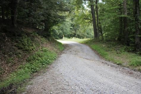 0 Curry Road French Creek WV 26218