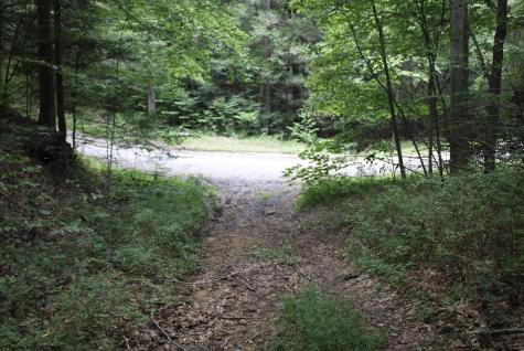 0 Curry Road French Creek WV 26218