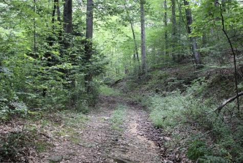 0 Curry Road French Creek WV 26218