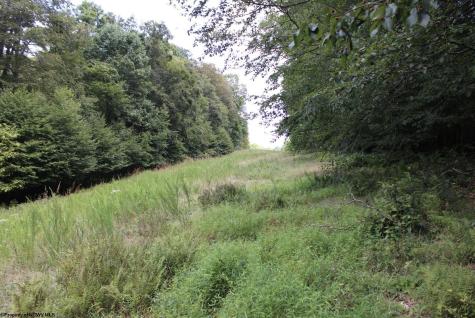 0 Curry Road French Creek WV 26218
