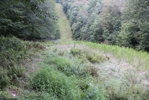 0 Curry Road French Creek WV 26218