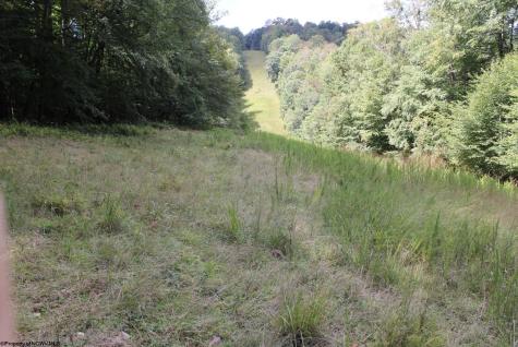 0 Curry Road French Creek WV 26218