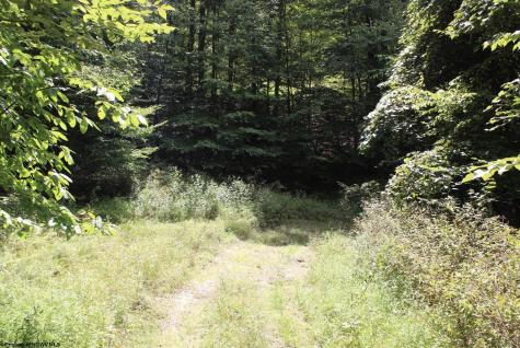 0 Curry Road French Creek WV 26218