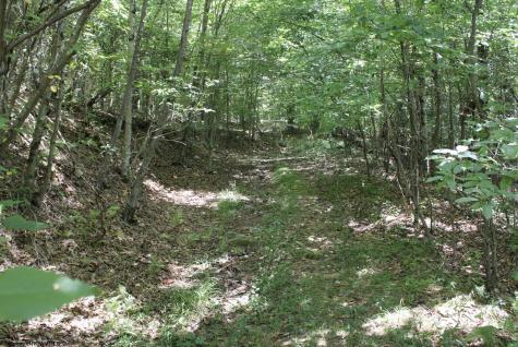 0 Curry Road French Creek WV 26218