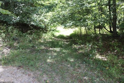 0 Curry Road French Creek WV 26218
