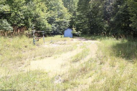 0 Curry Road French Creek WV 26218