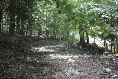 0 Curry Road French Creek WV 26218