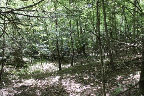 0 Curry Road French Creek WV 26218