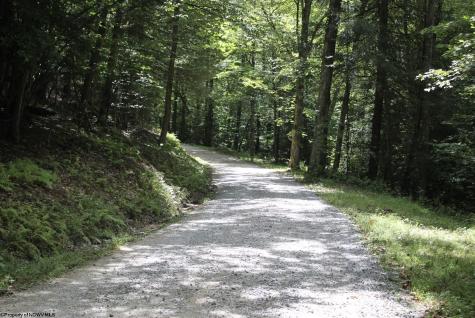 0 Curry Road French Creek WV 26218