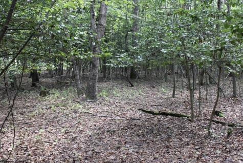 0 Curry Road French Creek WV 26218