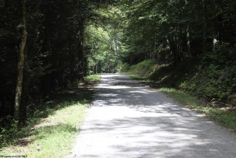 0 Curry Road French Creek WV 26218