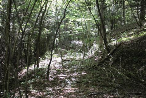 0 Curry Road French Creek WV 26218