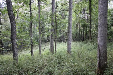 0 Curry Road French Creek WV 26218
