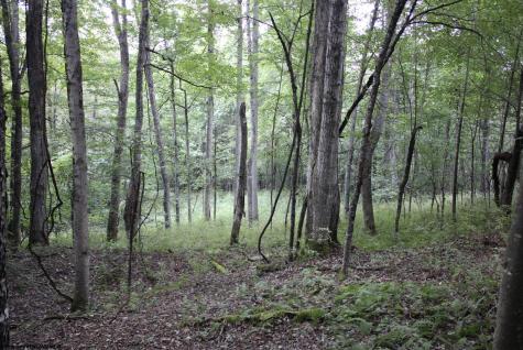 0 Curry Road French Creek WV 26218
