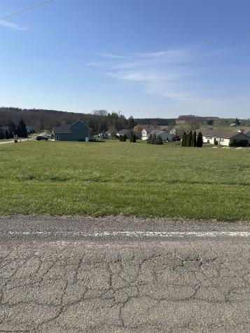 22 Belgian Estates Bruceton Mills WV 26525