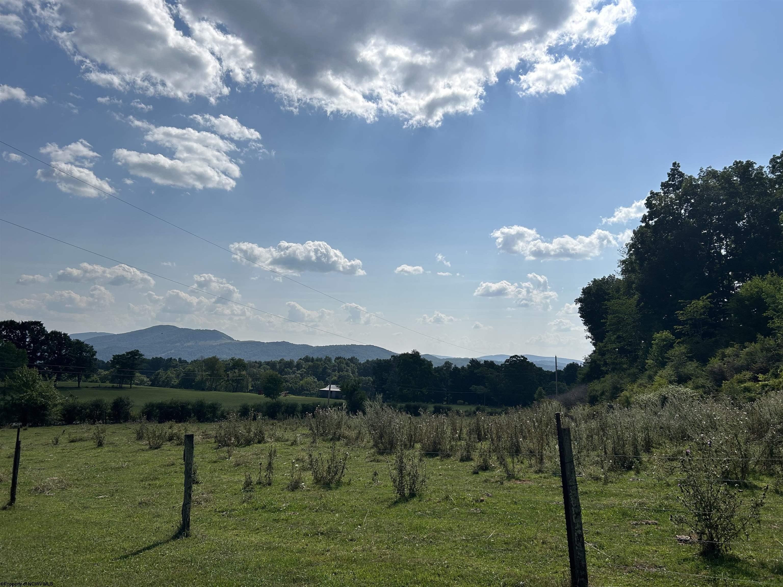 0 Dryfork Road Dryfork WV 26263