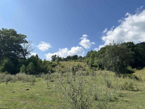 0 Dryfork Road Dryfork WV 26263