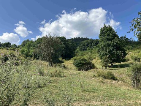 0 Dryfork Road Dryfork WV 26263