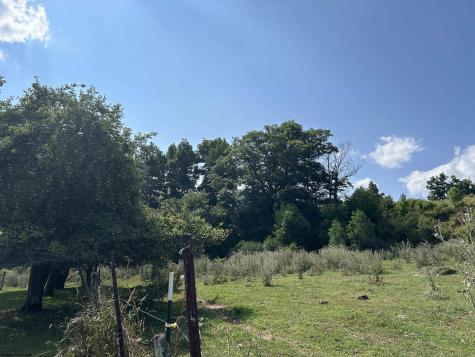 0 Dryfork Road Dryfork WV 26263