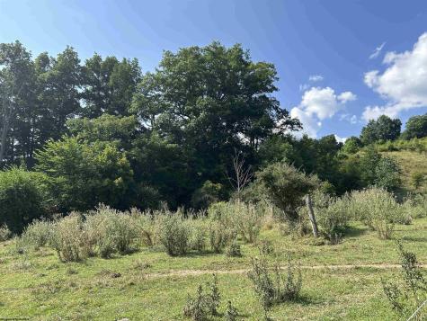 0 Dryfork Road Dryfork WV 26263