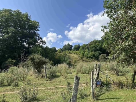 0 Dryfork Road Dryfork WV 26263