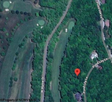 283 Pond Lily Lane Terra Alta WV 26764