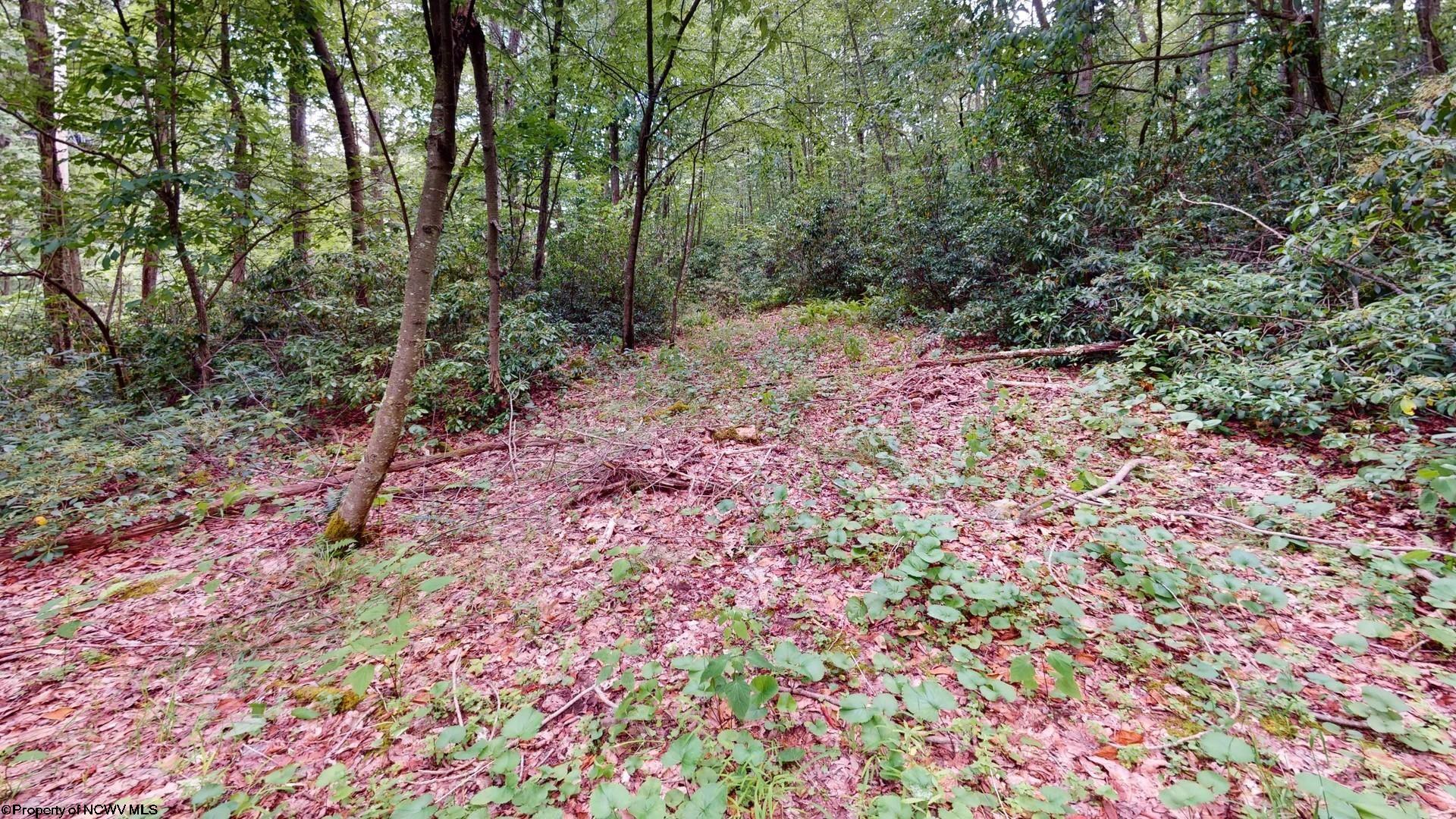 103 Redwood Drive Terra Alta WV 26764