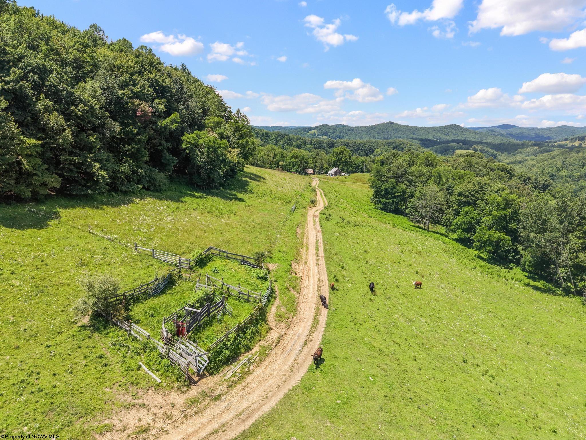3175 Glady Creek Road Ireland WV 26376