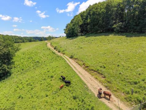 3175 Glady Creek Road Ireland WV 26376