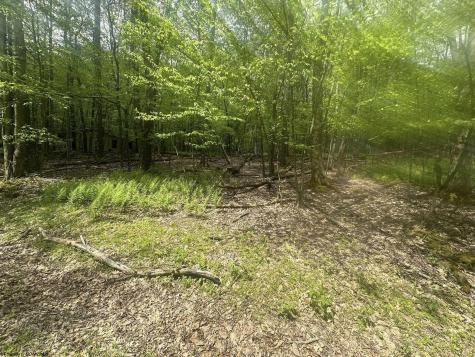 197 Woodbine Drive Terra Alta WV 26764