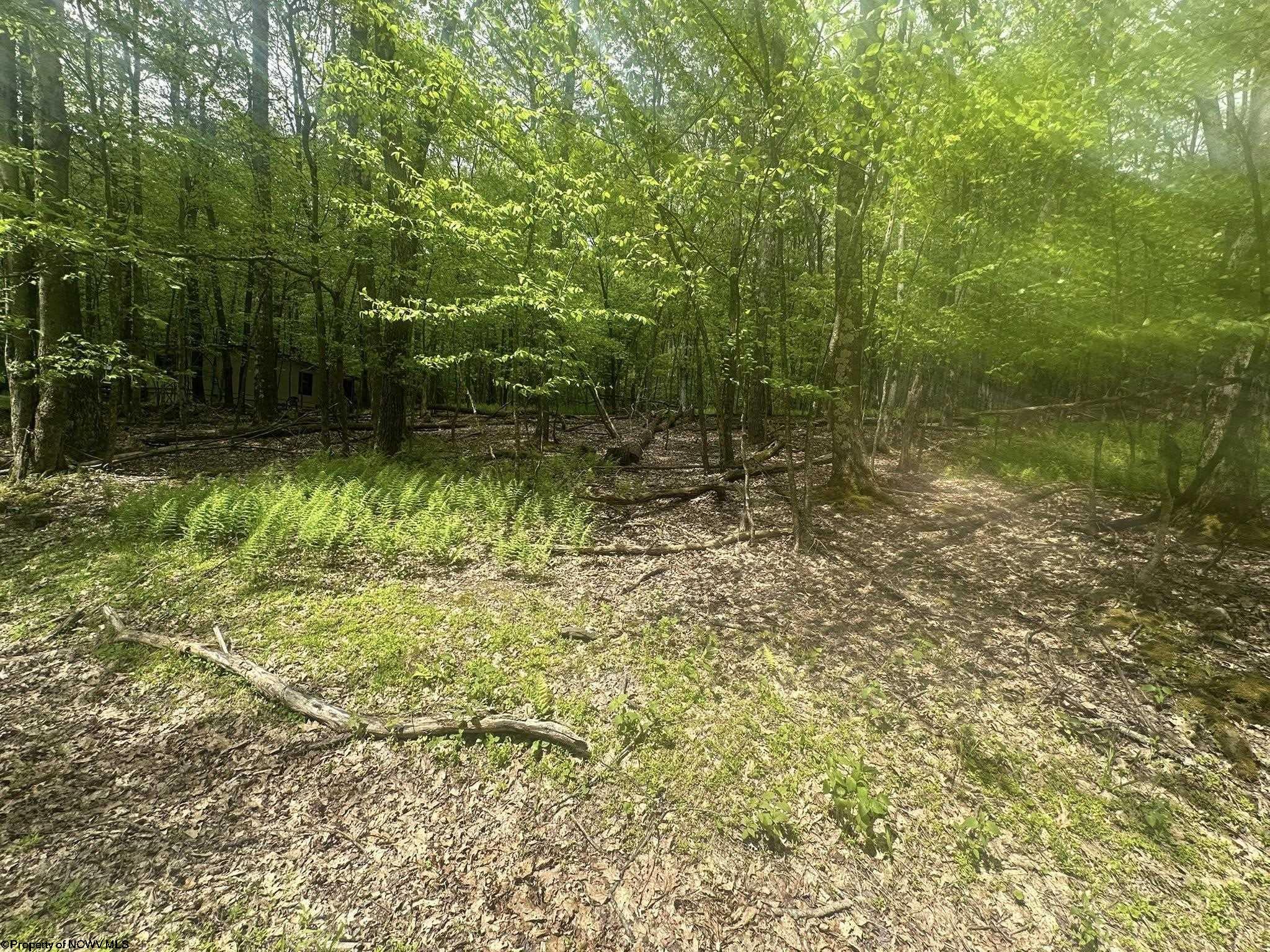 197 Woodbine Drive Terra Alta WV 26764